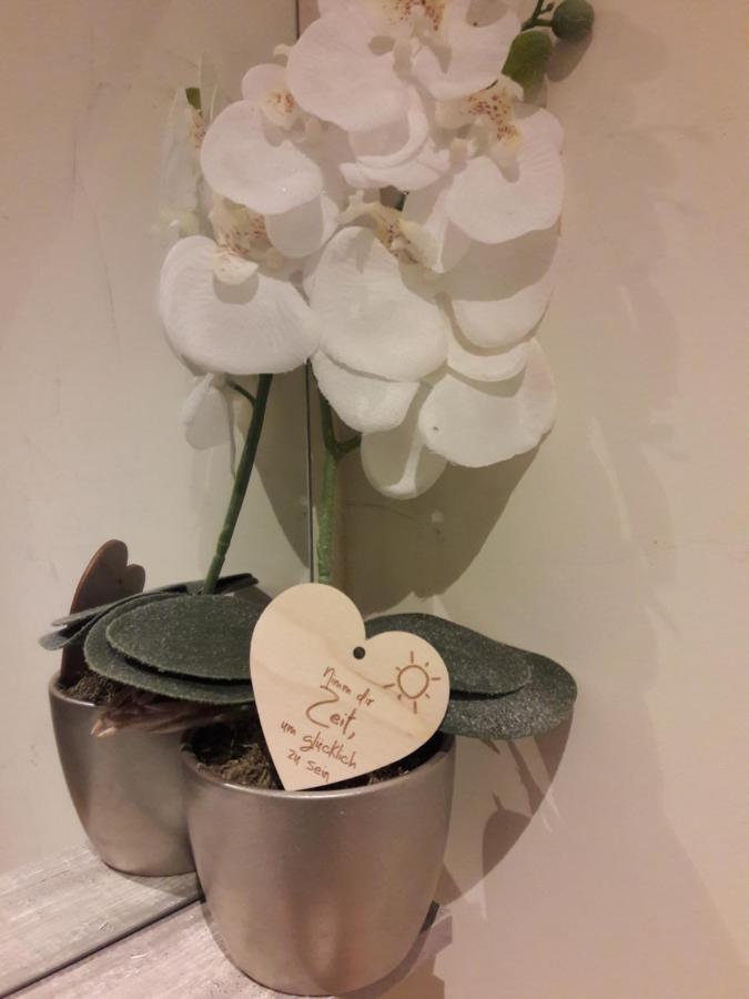 Ferienwohnung Glueckskinder Apartment Vip รูสท์ ภายนอก รูปภาพ